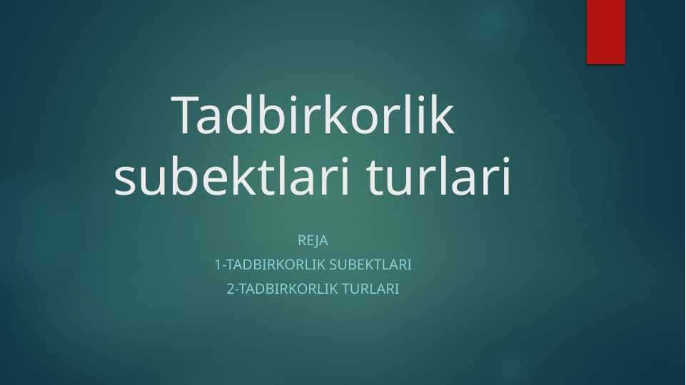 Tadbirkorlik subektlari turlari