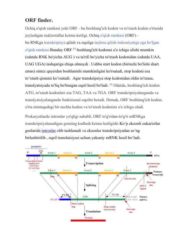 ORF finder