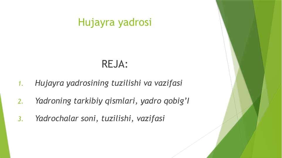 Hujayra yadrosi