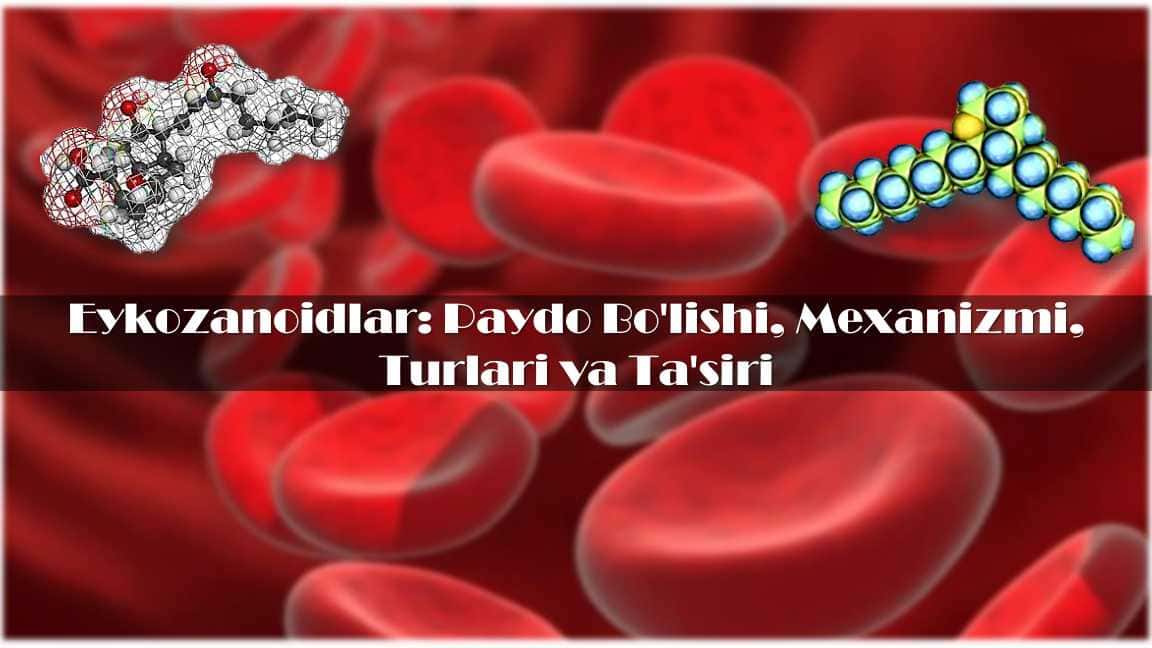 Eykozanoidlar-Paydo-Bolishi-Mexanizmi-Turlari-va-Tasiri