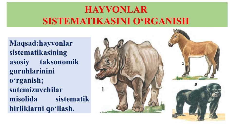 HAYVONLAR SISTEMATIKASINI O‘RGANISH