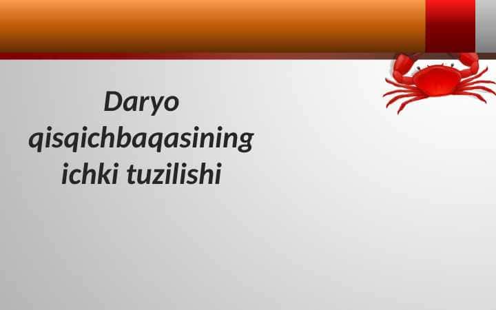 Daryo qisqichbaqasining ichki tuzilishi