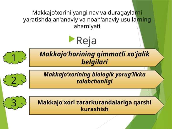 Makkajo'xorini yangi nav va duragaylarni yaratishda an'anaviy va noan'anaviy usullarning ahamiyati
