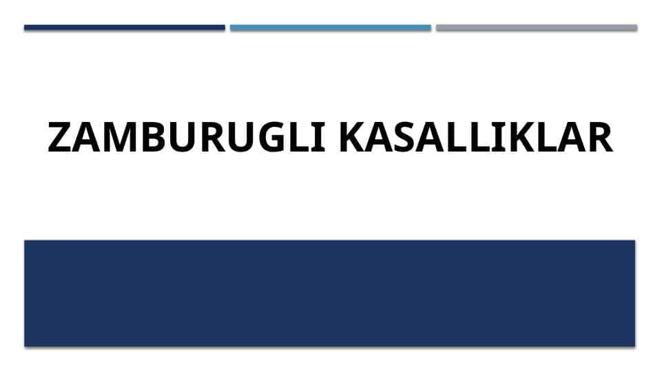 Zamburug'li kasalliklar.