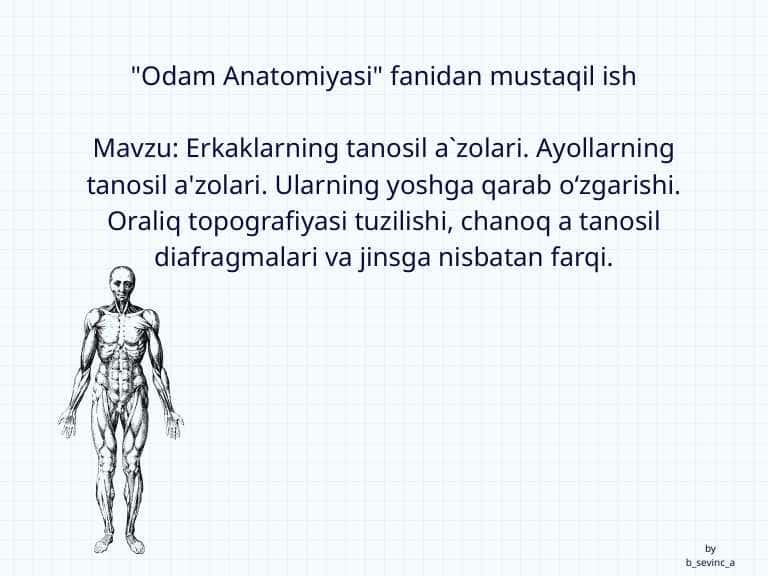 Erkaklarning tanosil a`zolari. Ayollarning tanosil a'zolari. Ularning yoshga qarab o‘zgarishi. Oraliq topografiyasi tuzilishi, chanoq a tanosil diafragmalari va jinsga nisbatan farqi.