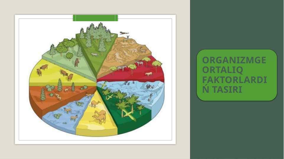 Organizmge ortaliq faktorlardin tasiri