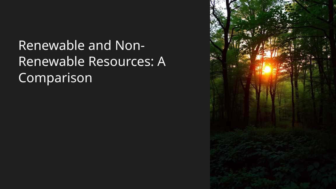 Renewable and non-renewable resources
