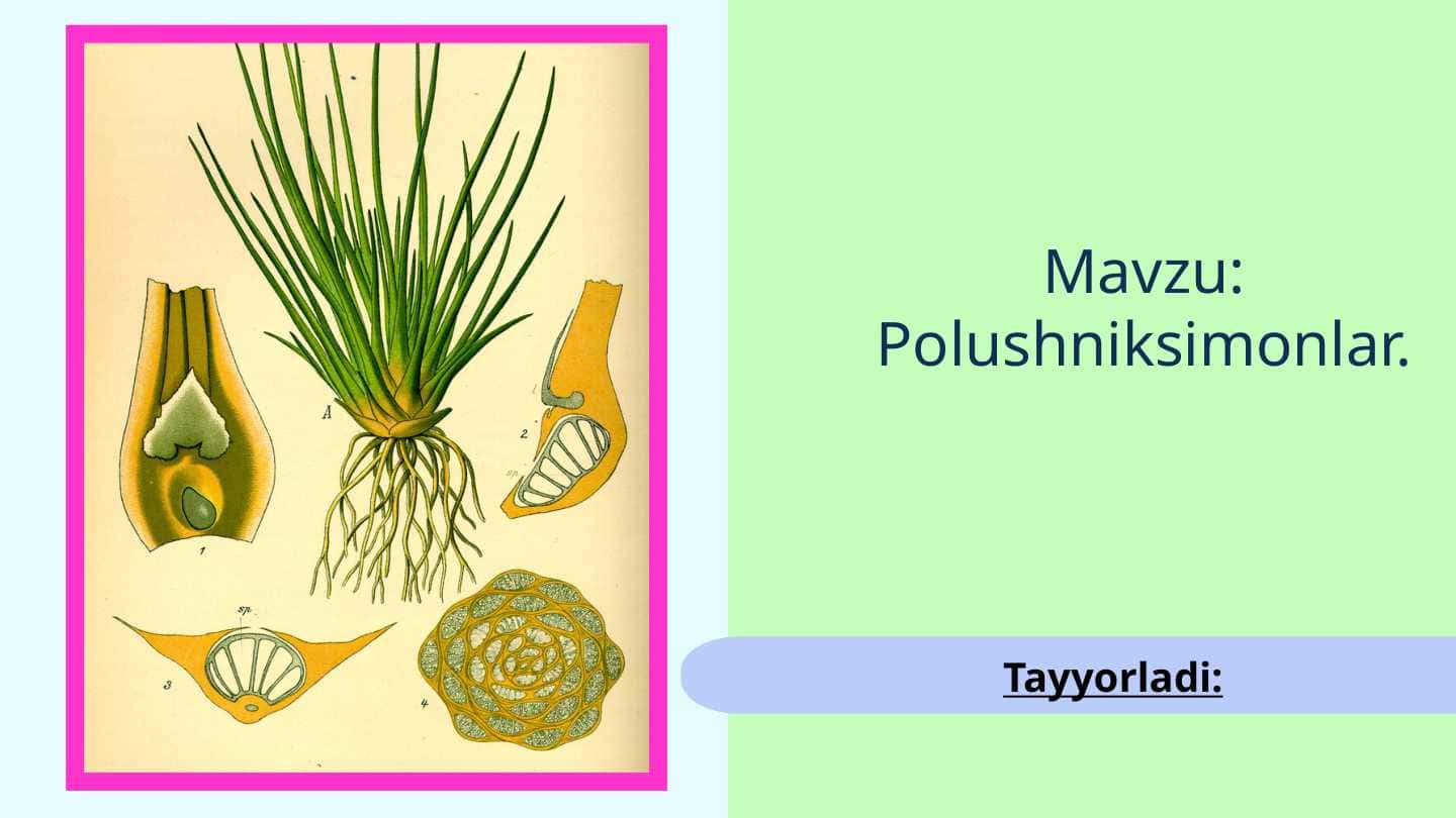 Polushniksimonlar