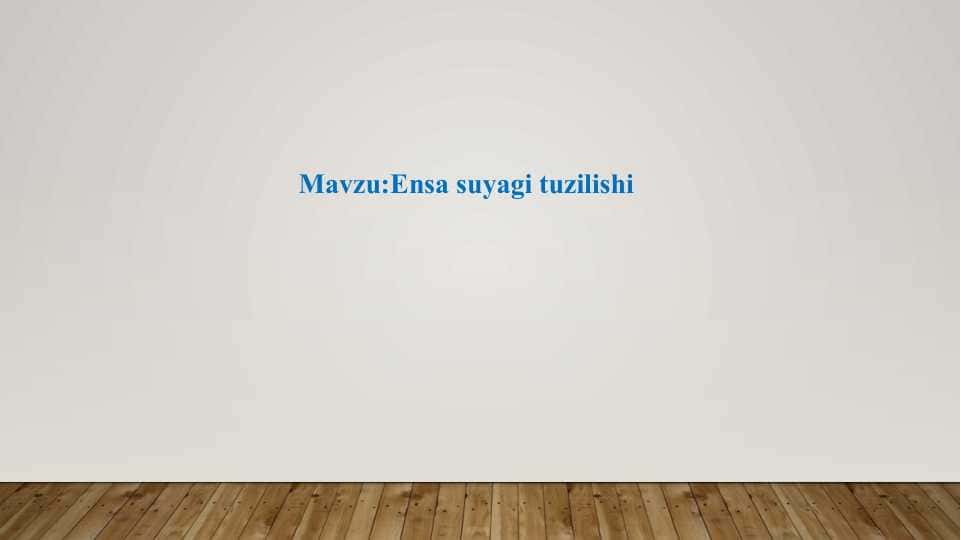 Ensa suayagi tuzilishi
