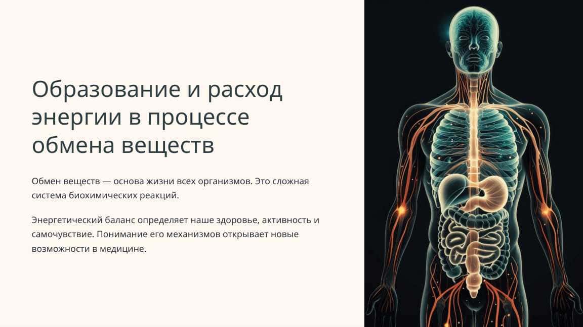 Образование и расход энергии в процессе обмена веществ