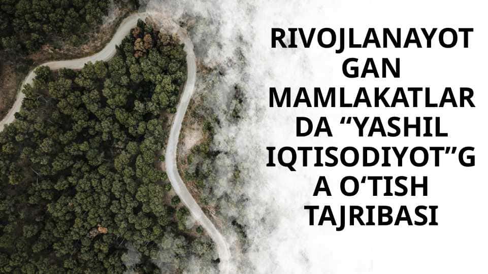 RIVOJLANAYOTGAN MAMLAKATLARDA “YASHIL IQTISODIYOT”GA O‘TISH TAJRIBASI