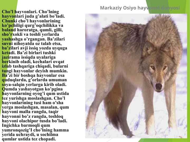Markaziy Osiyo hayvonot dunyosi