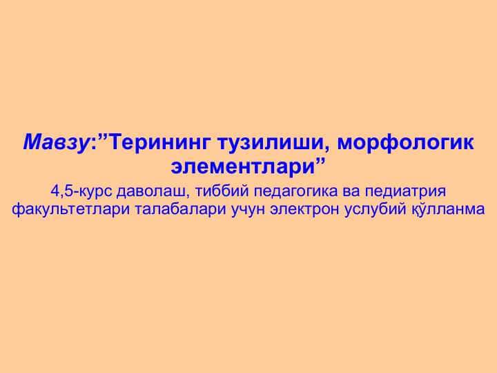 Терининг тузилиши, морфологик элементлари