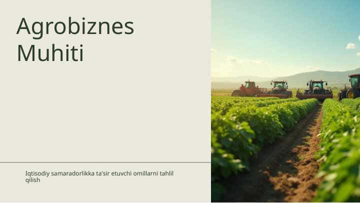 Agrobiznes muhiti tarmoqlari iqtisodiy samaradorligiga ta'sir ko'rsatuvchi omillar
