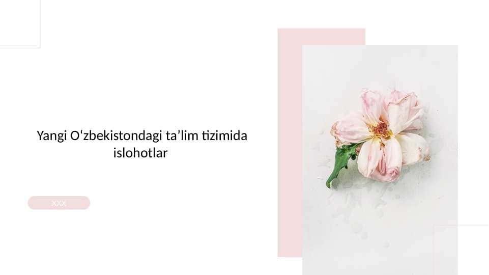 Yangi Oʻzbekistondagi taʼlim tizimida islohotlar