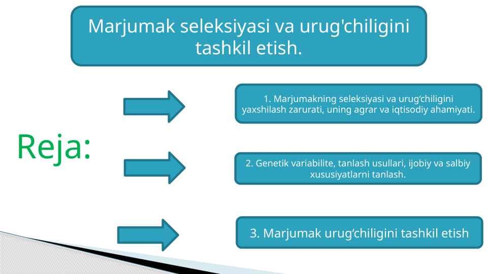 Marjumak seleksiyasi va urug'chiligini tashkil etish..pptx