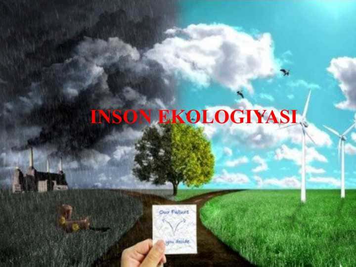 INSON EKOLOGIYASI