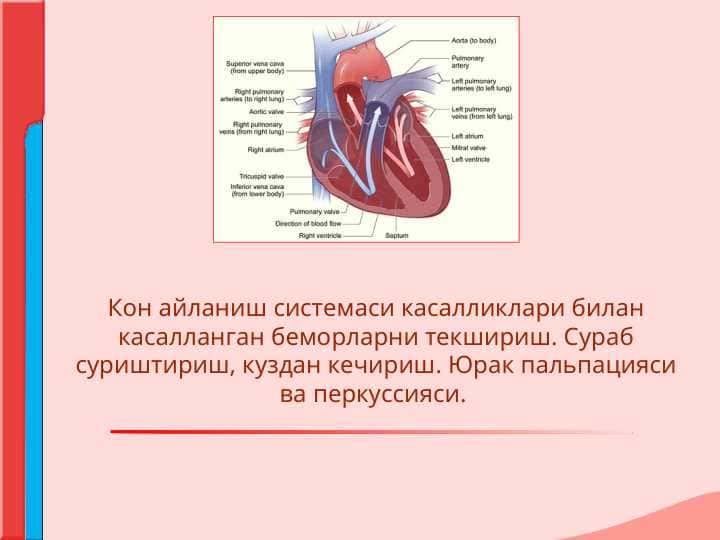 Кон айланиш системаси касалликлари билан касалланган беморларни текшириш. Сураб суриштириш, куздан кечириш. Юрак пальпацияси ва перкуссияси.