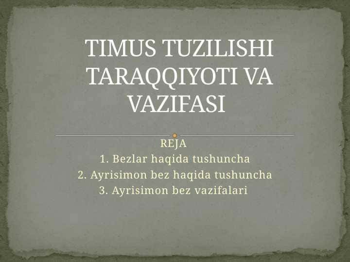 TIMUS TUZILISHI TARAQQIYOTI VA VAZIFASI