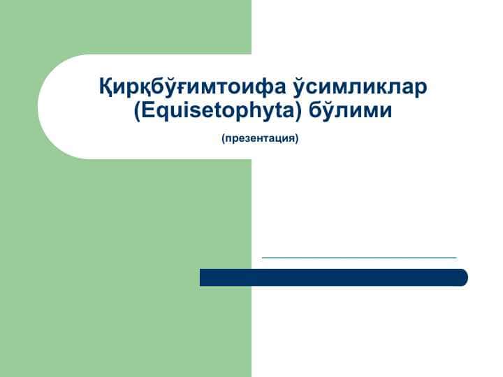 Қирқбўғимтоифа ўсимликлар (Equisetophyta) бўлими(презентация)