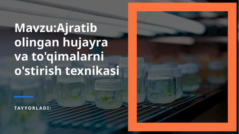 Mavzu: Ajratib olingan hujayra va to'qimalarni o'stirish texnikasi