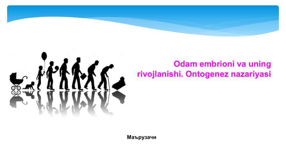 Odam embrioni va uning rivojlanishi. Ontogenez nazariyasi