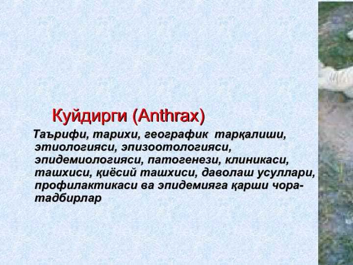 kudirgi pptx