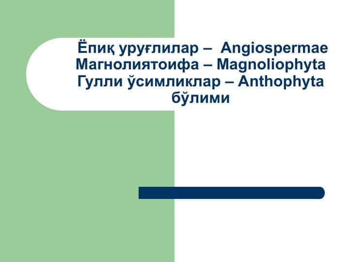 Ёпиқ уруғлилар – Angiospermae Магнолиятоифа – Magnoliophyta Гулли ўсимликлар – Anthophyta бўлими