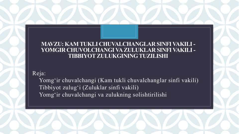 Kam tukli chuvalchanglar sinfi vakili - Yomgir chuvolchangi va zuluklar sinfi vakili - tibbiyot zulukgining tuzilishi
