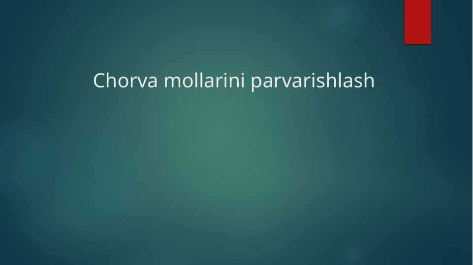 Chorva mollarini parvarishlash
