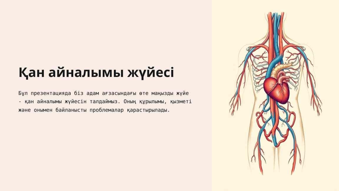 Қан айналымы жүйесі