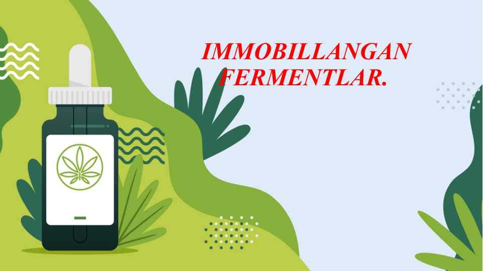 IMMOBILLANGAN FERMENTLAR