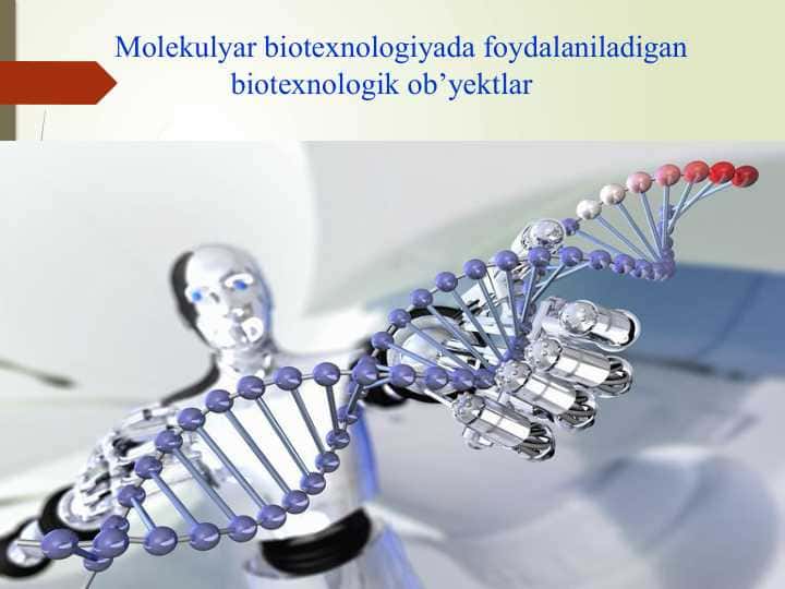 Molekulyar biotexnologiyada foydalaniladigan biotexnologik ob’yektlar