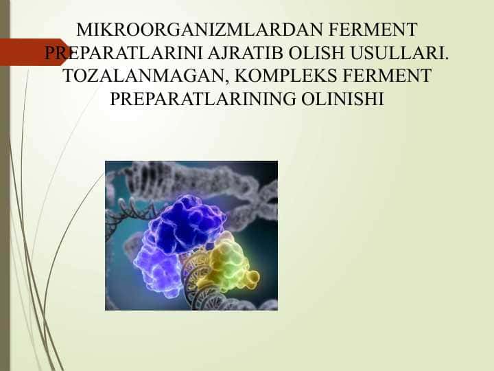 MIKROORGANIZMLARDAN FERMENT PREPARATLARINI AJRATIB OLISH USULLARI. TOZALANMAGAN, KOMPLEKS FERMENT PREPARATLARINING OLINISHI (2)