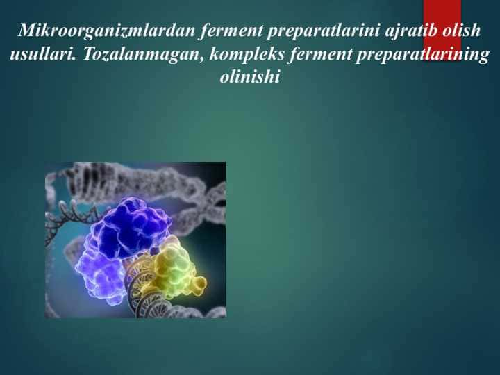 Mikroorganizmlardan ferment preparatlarini ajratib olish usullari. Tozalanmagan, kompleks ferment preparatlarining olinishi