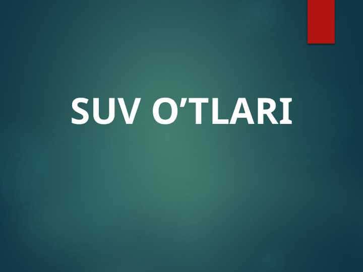 SUV O’TLARI
