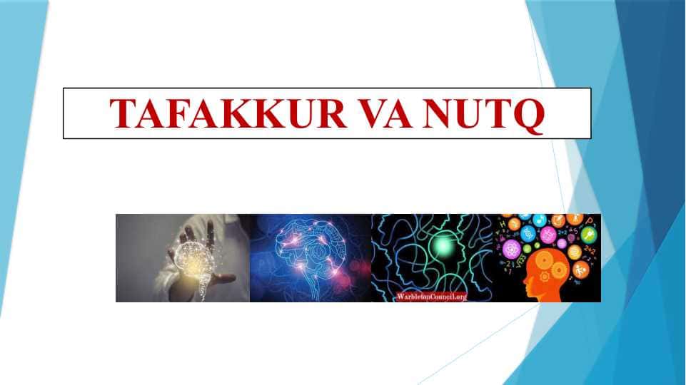 Tafakkur va nutq