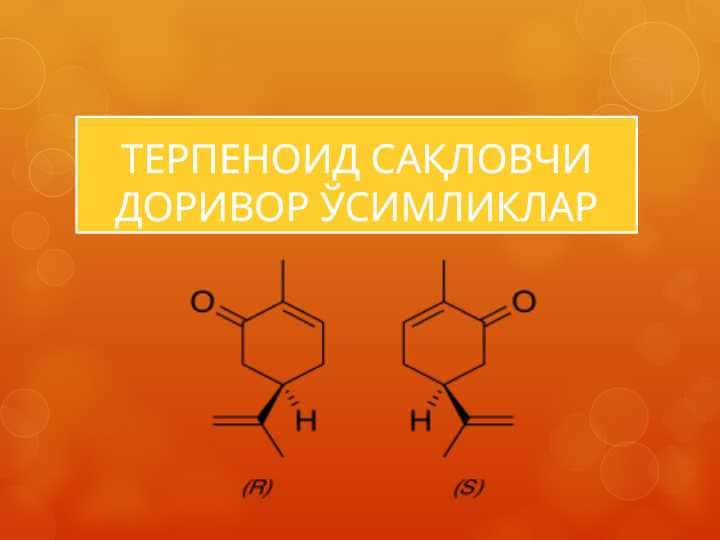 ТЕРПЕНОИД САҚЛОВЧИ ДОРИВОР ЎСИМЛИКЛАР