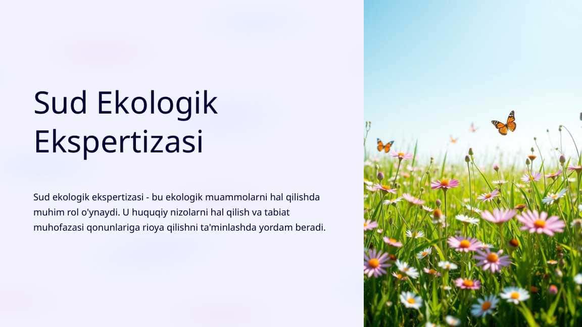 Sud Ekologik Ekspertizasi