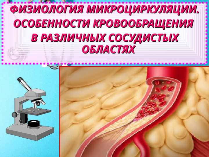 ФИЗИОЛОГИЯ МИКРОЦИРКУЛЯЦИИ. ОСОБЕННОСТИ КРОВООБРАЩЕНИЯ В РАЗЛИЧНЫХ СОСУДИСТЫХ ОБЛАСТЯХ