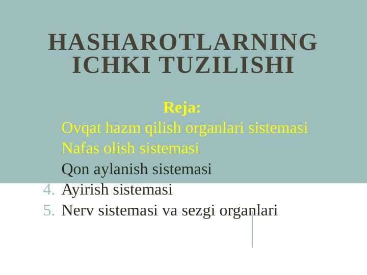 Hasharotlarning ichki tuzilishi