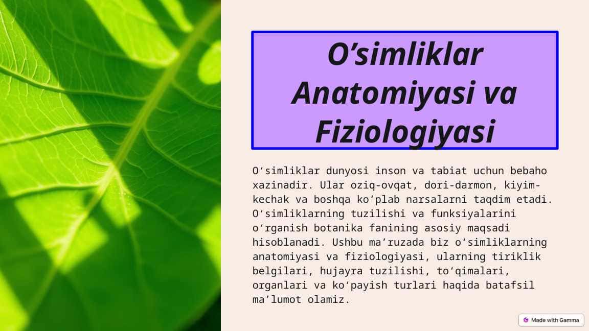 O’simliklar Anatomiyasi va Fiziologiyasi