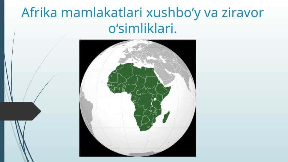 Afrika mamlakatlari xushbo‘y va ziravor o‘simliklari