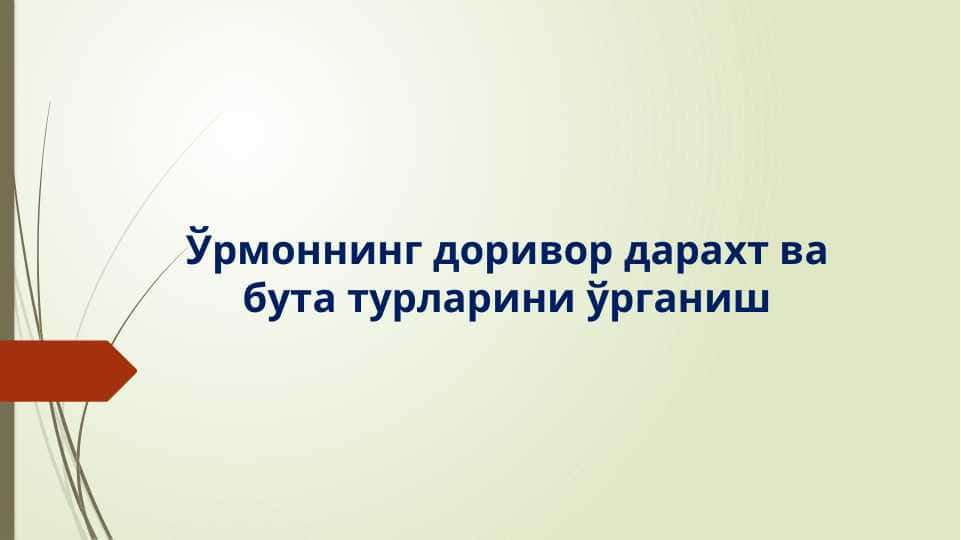 Ўрмоннинг доривор дарахт ва бута турларини ўрганиш