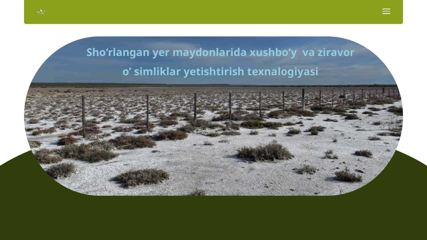 Sho‘rlangan yer maydonlarida xushbo‘y va ziravor o’simliklar yetishtirish texnalogiyasi