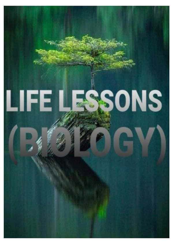 Biomasalalar 2 qism
