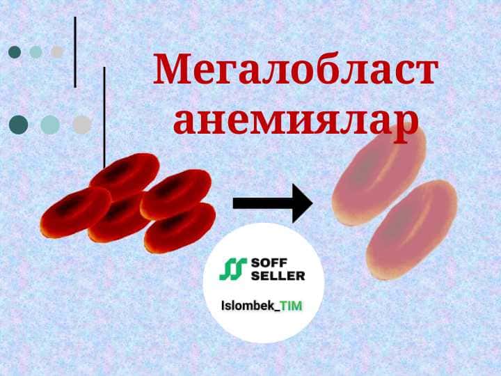 Мегалобласт анемиялар