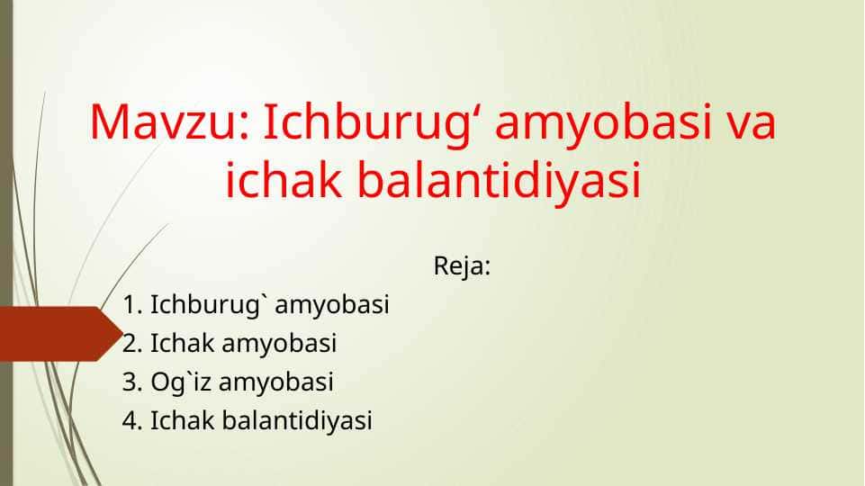 Ichburug‘ amyobasi va ichak balantidiyasi