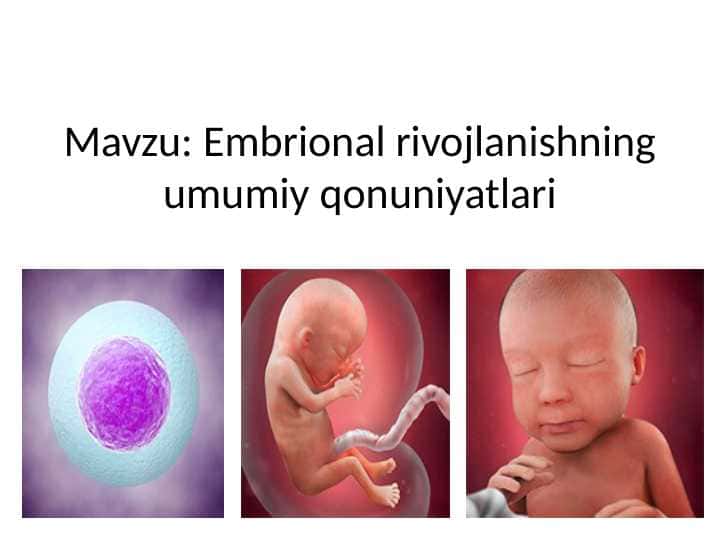 Embrional rivojlanishning umumiy qonuniyatlari