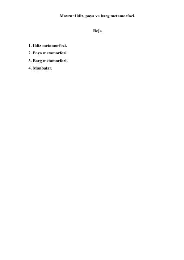 Ildiz, poya va barg metamorfozi. Referat 6 bet.